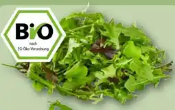 REWE Center Rewe Bio Crispy Salatmix Angebot