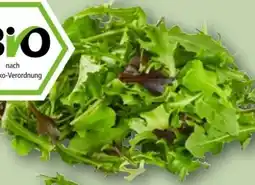REWE Rewe Bio Crispy Salatmix Angebot