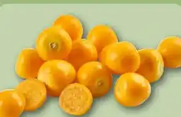 REWE Center Physalisbeeren Angebot