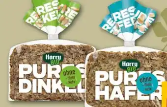 REWE Harry Brot Bio Pures Hafer Angebot