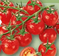 REWE Rewe Bio Mini Cherry Rispentomaten Angebot