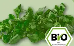REWE Center Rewe Bio Feldsalat Angebot