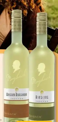 REWE Maybach Qualitätsweine Angebot