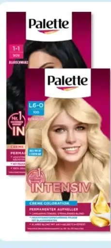 Budni Poly Palette Intensiv Creme Coloration Angebot