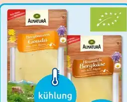 Budni Alnatura Bio Bergbauern Gouda Angebot