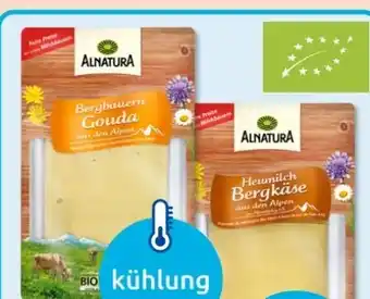 Budni Alnatura Bio Bergbauern Gouda Angebot