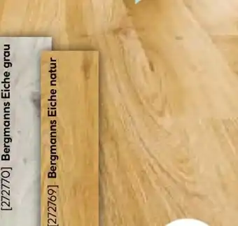 Hellweg Specht Holzprodukte Laminatboden Classic Angebot