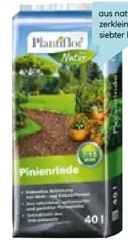 Hellweg Plantiflor Pinienrinde Angebot