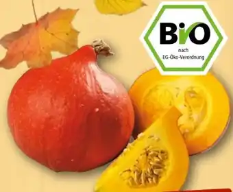 nahkauf Rewe Bio Bio-Hokkaido Kürbis Angebot