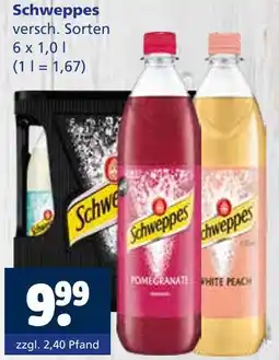 Getränkewelt Schweppes Angebot