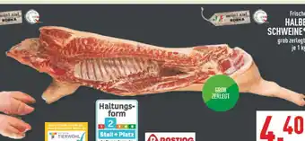 Marktkauf Frisch halbe schweine Angebot