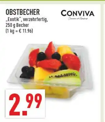 Marktkauf Conviva obstbecher exotik Angebot