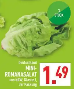 Marktkauf Mini-romanasalat Angebot
