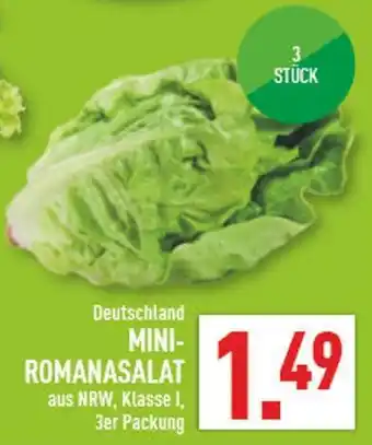 Marktkauf Mini-romanasalat Angebot