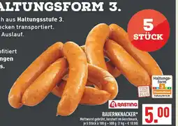 Marktkauf Rasting bauernknacker Angebot