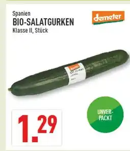 Marktkauf Demeter bio-salatgurken Angebot