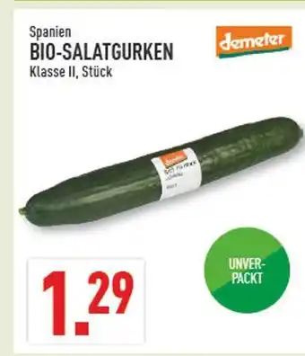 Marktkauf Demeter bio-salatgurken Angebot