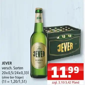 Getränke Oase Jever Angebot