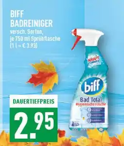 Marktkauf Biff badreiniger Angebot