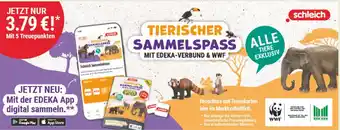 Marktkauf Schleich tierischer sammelspaß Angebot