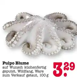 E-Center Pulpo blume Angebot