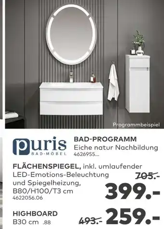 porta Puris flächenspiegel Angebot