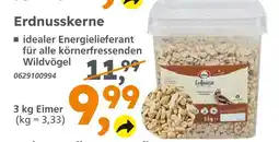 Globus Baumarkt Erdnusskerne Angebot