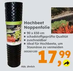 Globus Baumarkt Hochbeet noppenfolie Angebot