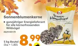 Globus Baumarkt Sonnenblumenkerne Angebot