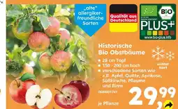Globus Baumarkt Historische bio obstbäume Angebot