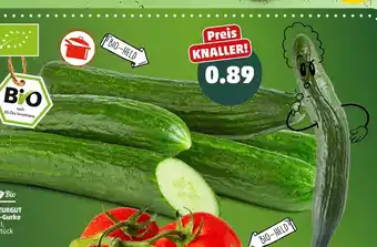 PENNY Naturgut bio bio-gurke Angebot