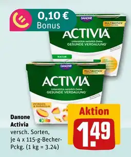 REWE Danone activia natur Angebot