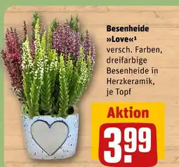 REWE Besenheide love Angebot