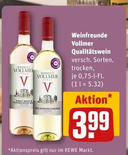 REWE Weingut vollmer pinot noir & portugieser rosé Angebot