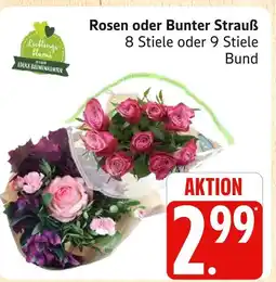 Marktkauf Rosen Angebot