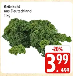 Marktkauf Grünkohl Angebot