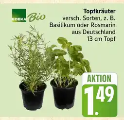 Marktkauf Edeka bio topfkräuter Angebot