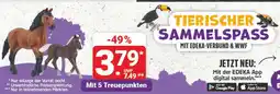 diska Tierischer sammelspass Angebot