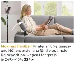 Möbel Buss Maximal flexibel Armteil Angebot