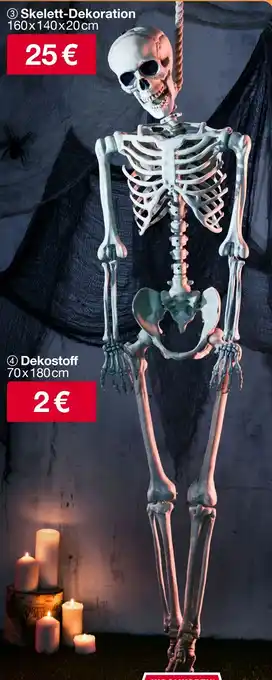 Woolworth Skelett-Dekoration Angebot