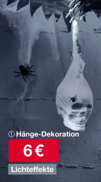 Woolworth Hänge-Dekoration Angebot
