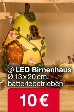 Woolworth LED Birnenhaus Angebot