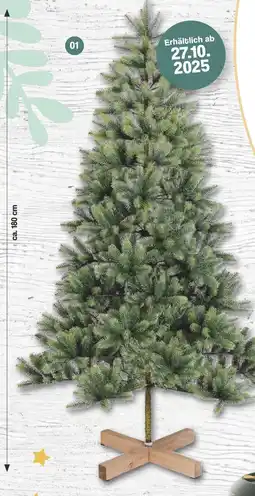 Famila Nord West Weihnachtsbaum Angebot
