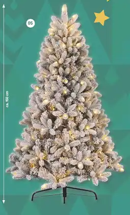Famila Nord West Weihnachtsbaum Angebot