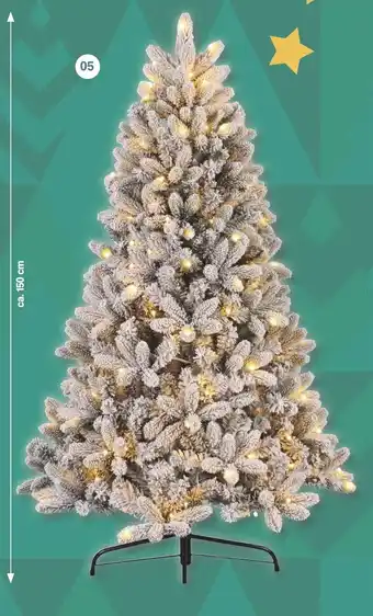 Famila Nord West Weihnachtsbaum Angebot