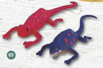 Famila Nord West Eidechsen oder chamäleons Angebot