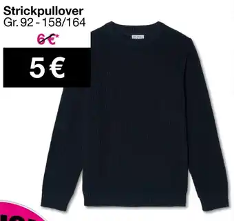 Woolworth Strickpullover Angebot