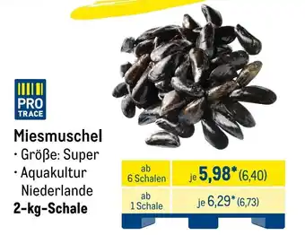 METRO Miesmuschel Angebot