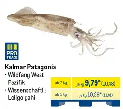 METRO Kalmar Patagonia Angebot