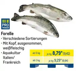 METRO Forelle Angebot